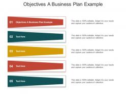 Objectives a business plan example ppt powerpoint presentation summary graphics pictures cpb
