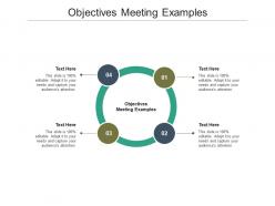Objectives meeting examples ppt powerpoint presentation model layout ideas cpb