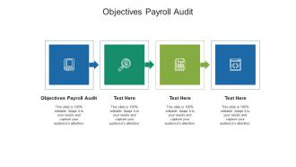 Objectives payroll audit ppt powerpoint presentation visual aids backgrounds cpb