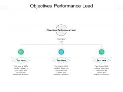 Objectives performance lead ppt powerpoint presentation infographics visual aids cpb