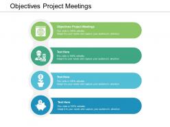Objectives project meetings ppt powerpoint presentation examples cpb