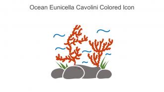 Ocean Eunicella Cavolini Colored Icon In Powerpoint Pptx Png And Editable Eps Format