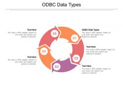 Odbc data types ppt powerpoint presentation styles layout ideas cpb
