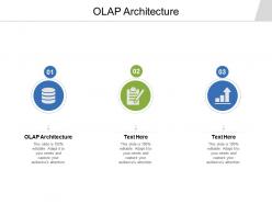 Olap architecture ppt powerpoint presentation infographics good cpb