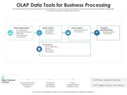 Olap data tools for business processing