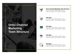 Omni channel marketing team structure ppt powerpoint presentation summary show cpb