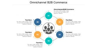 Omnichannel b2b commerce ppt powerpoint presentation show files cpb