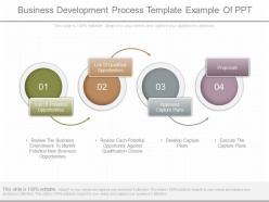 One business development process template example of ppt