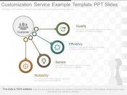 One Customization Service Example Template Ppt Slides
