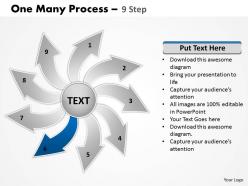 One many process 9 step 12