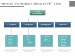 One marketing segmentation strategies ppt slides