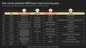 One Month Potential B2B Buyer Lead Nurturing Plan