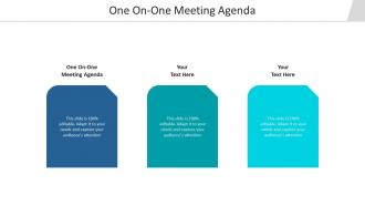 One on one meeting agenda ppt powerpoint presentation pictures template cpb
