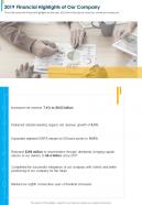 One Page 2019 Financial Highlights Of Our Company Presentation Report Infographic PPT PDF Document