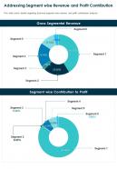 One page addressing segment wise revenue and profit contribution report infographic ppt pdf document