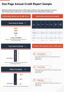 One Page Annual Credit Report Sample Presentation Report Infographic PPT PDF Document