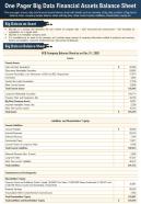 One page big data financial balance sheet presentation report infographic ppt pdf document