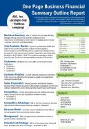 One page business financial summary outline report presentation report infographic ppt pdf document