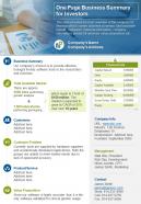 One page business summary for investors document ppt pdf doc printable