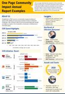 One Page Community Impact Annual Report Examples Presentation Report Infographic PPT PDF Document