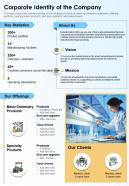 One page corporate identity of the company presentation report infographic ppt pdf document