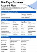One page customer account plan presentation report infographic ppt pdf document