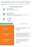 One page determine company overview with vision mission and offerings infographic ppt pdf document