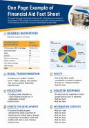 One page example of financial aid fact sheet presentation report infographic ppt pdf document