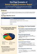 One Page Examples Of Annual Program Evaluation Report Infographic PPT PDF Document