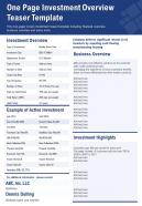 One page investment overview teaser template presentation report infographic ppt pdf document