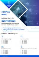 One page it consulting brochure template