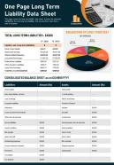 One page long term liability data sheet presentation report infographic ppt pdf document