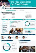 One page organization fact sheet example presentation report infographic ppt pdf document