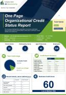 One page organizational credit status report presentation infographic ppt pdf document