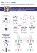One page overview of the company presentation report infographic ppt pdf document