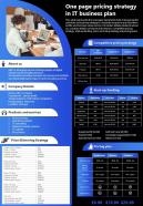 One Page Pricing Strategy In IT Business Plan Presentation Report Infographic Ppt Pdf Document