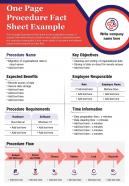One page procedure fact sheet example presentation report infographic ppt pdf document