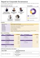 One page report on corporate governance presentation report infographic ppt pdf document
