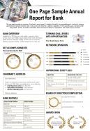 One page sample annual report for bank presentation report infographic ppt pdf document