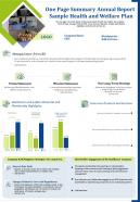 One page summary annual report sample health and welfare plan presentation report infographic ppt pdf document