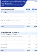 One page summary of grant expenditure for year 2020 presentation report infographic ppt pdf document