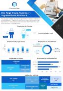 One page visual analysis of organizational workforce presentation report ppt pdf document
