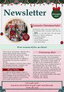 One Page Winter Theme Newsletter Template Presentation Report Infographic Ppt Pdf Document