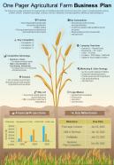 One Pager Agricultural Farm Business Plan Presentation Report Infographic Ppt Pdf Document