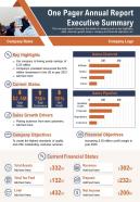 One pager annual report executive summary presentation report infographic ppt pdf document
