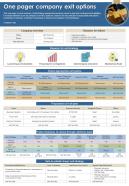 One Pager Company Exit Options Presentation Report Infographic PPT PDF Document