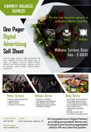 One pager digital advertising sell sheet presentation report infographic ppt pdf document