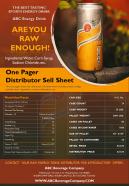 One Pager Distributor Sell Sheet Presentation Report Infographic PPT PDF Document