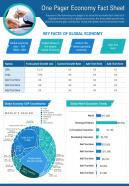 One pager economy fact sheet presentation report infographic ppt pdf document