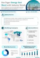 One pager energy fact sheet with industry details presentation report infographic ppt pdf document
